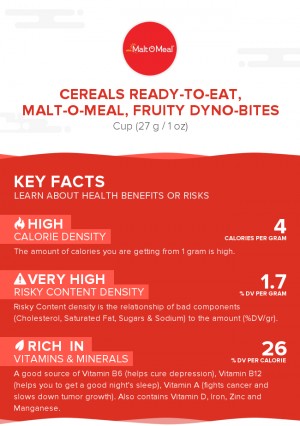 Cereals ready-to-eat, MALT-O-MEAL, Fruity DYNO-BITES