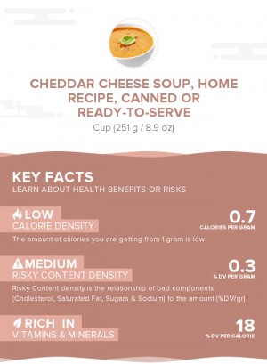 Cheddar cheese soup, home recipe, canned or ready-to-serve