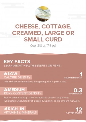 Cheese, cottage, creamed, large or small curd