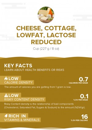 Cheese, cottage, lowfat, lactose reduced