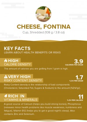 Cheese, Fontina