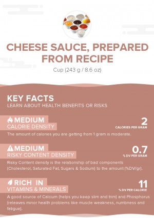 Cheese sauce, prepared from recipe