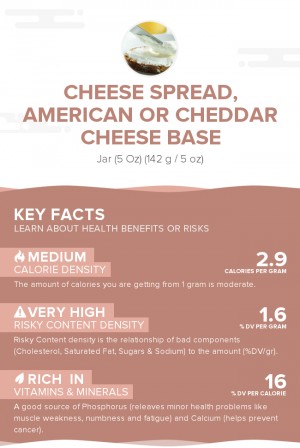 Cheese spread, American or Cheddar cheese base