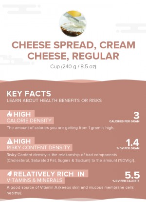 Cheese spread, cream cheese, regular