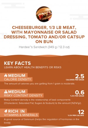 Cheeseburger, 1/3 lb meat, with mayonnaise or salad dressing, tomato and/or catsup on bun