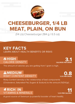 Cheeseburger, 1/4 lb meat, plain, on bun