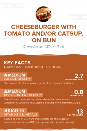 Cheeseburger with tomato and/or catsup, on bun