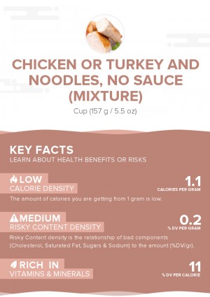 Chicken or turkey and noodles, no sauce (mixture)