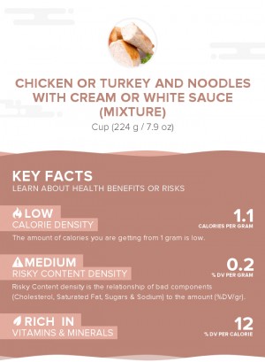 Chicken or turkey and noodles with cream or white sauce (mixture)
