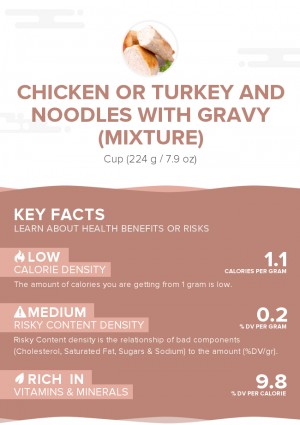 Chicken or turkey and noodles with gravy (mixture)