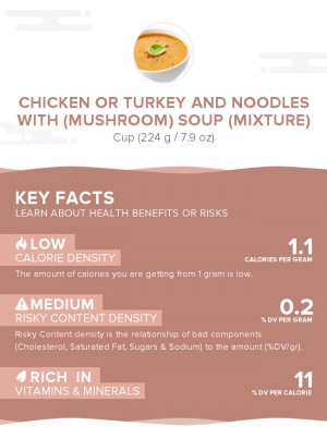 Chicken or turkey and noodles with (mushroom) soup (mixture)