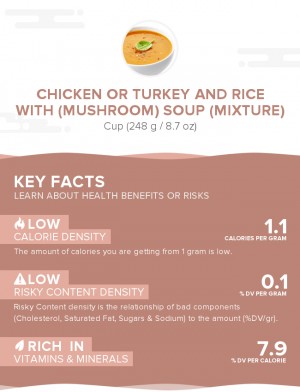 Chicken or turkey and rice with (mushroom) soup (mixture)