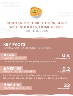 Chicken or turkey corn soup with noodles, home recipe