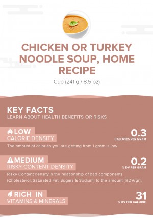 Chicken or turkey noodle soup, home recipe