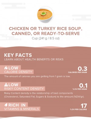 Chicken or turkey rice soup, canned, or ready-to-serve