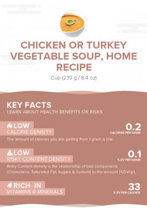 Chicken or turkey vegetable soup, home recipe