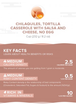 Chilaquiles, tortilla casserole with salsa and cheese, no egg