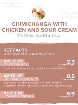 Chimichanga with chicken and sour cream