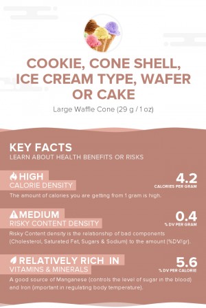 Cookie, cone shell, ice cream type, wafer or cake