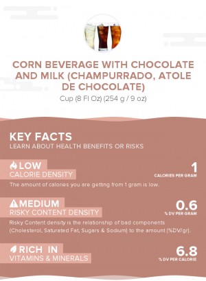 Corn beverage with chocolate and milk (Champurrado, Atole de Chocolate)