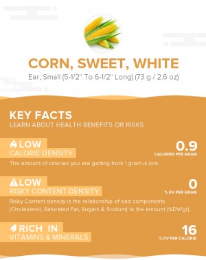 Corn, sweet, white, raw