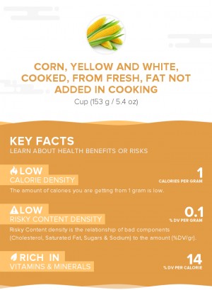 Corn, yellow and white, cooked, from fresh, fat not added in cooking