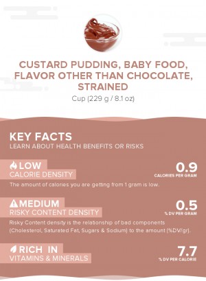 Custard pudding, baby food, flavor other than chocolate, strained