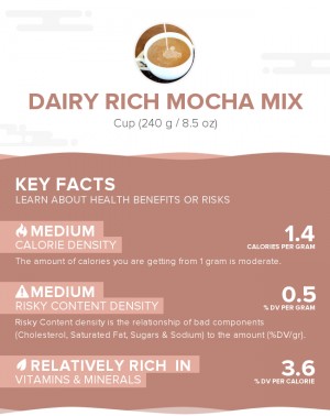 Dairy Rich Mocha Mix