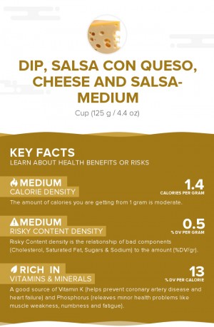 Dip, salsa con queso, cheese and salsa- medium