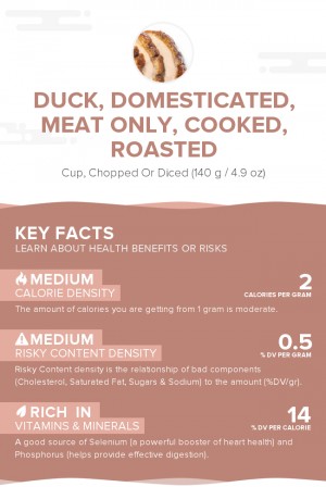 Duck, domesticated, meat only, cooked, roasted