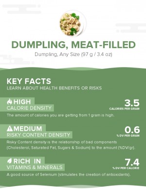 Dumpling, meat-filled