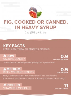 Fig, cooked or canned, in heavy syrup