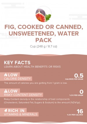 Fig, cooked or canned, unsweetened, water pack