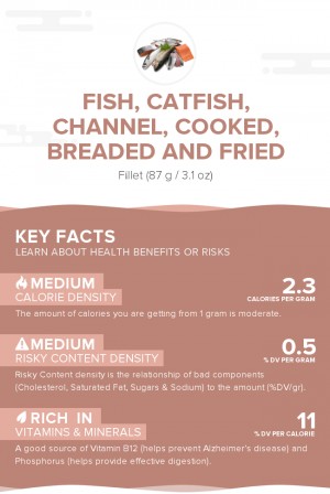 Fish, catfish, channel, cooked, breaded and fried