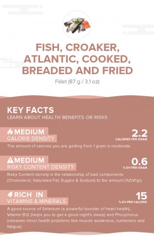 Fish, croaker, Atlantic, cooked, breaded and fried