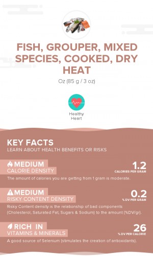 Fish, grouper, mixed species, cooked, dry heat
