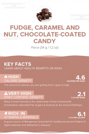 Fudge, caramel and nut, chocolate-coated candy