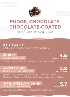 Fudge, chocolate, chocolate-coated