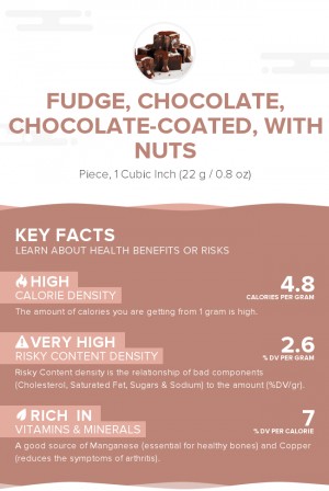 Fudge, chocolate, chocolate-coated, with nuts