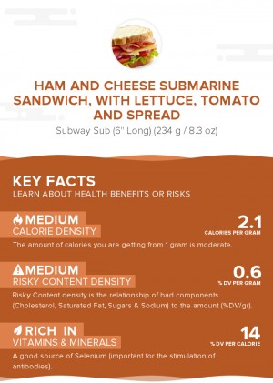 Ham and cheese submarine sandwich, with lettuce, tomato and spread