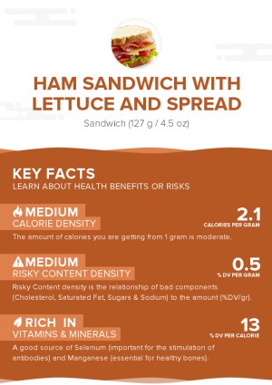 Ham sandwich with lettuce and spread