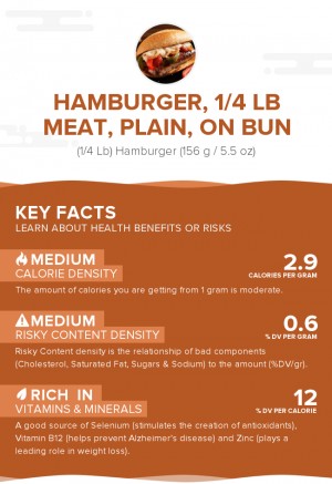 Hamburger, 1/4 lb meat, plain, on bun