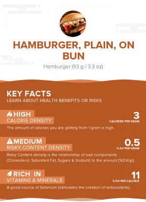 Hamburger, plain, on bun