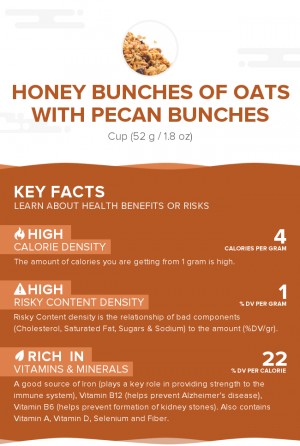 Honey Bunches of Oats with Pecan Bunches