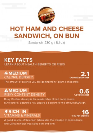 Hot ham and cheese sandwich, on bun