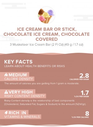 Ice cream bar or stick, chocolate ice cream, chocolate covered