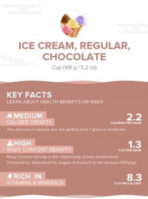 Ice cream, regular, chocolate
