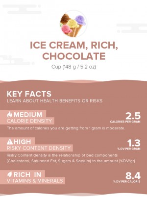 Ice cream, rich, chocolate