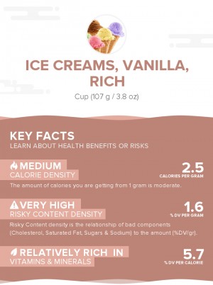 Ice creams, vanilla, rich