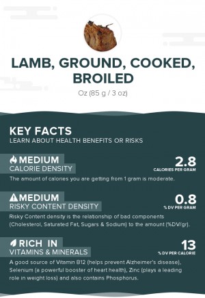 Lamb, ground, cooked, broiled
